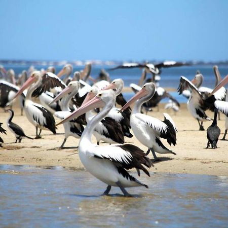 The Hutt On Mandurah Marina公寓 外观 照片