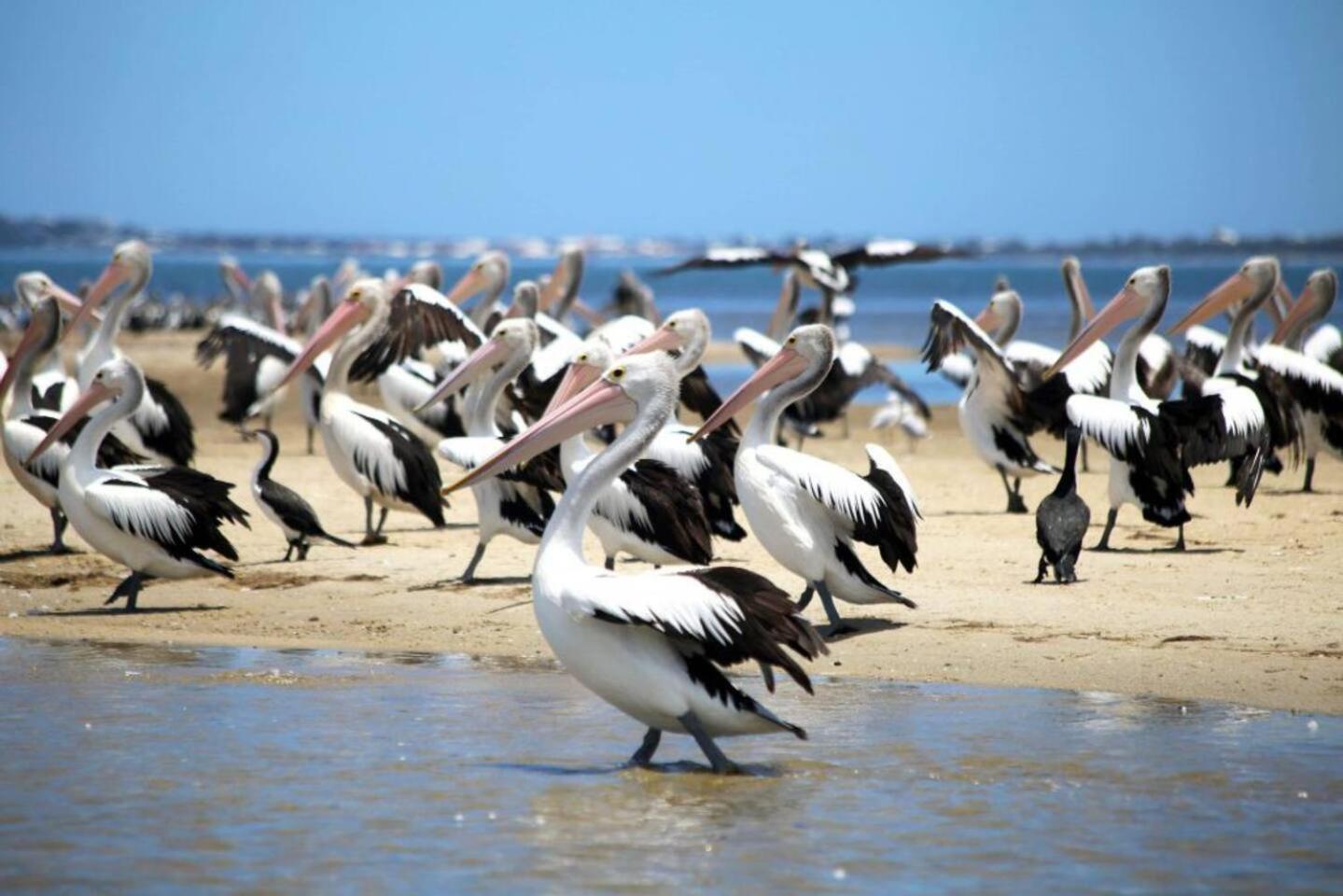 The Hutt On Mandurah Marina公寓 外观 照片